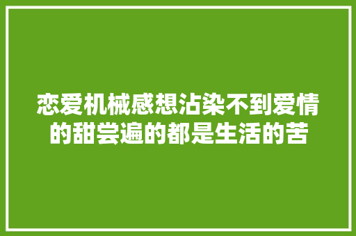 恋爱机械感想沾染不到爱情的甜尝遍的都是生活的苦