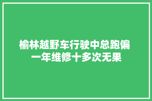 榆林越野车行驶中总跑偏 一年维修十多次无果