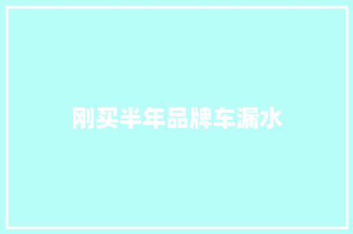 刚买半年品牌车漏水