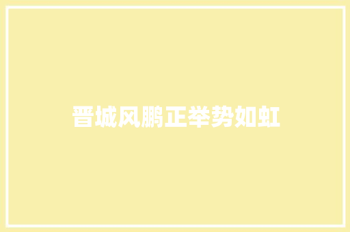 晋城风鹏正举势如虹