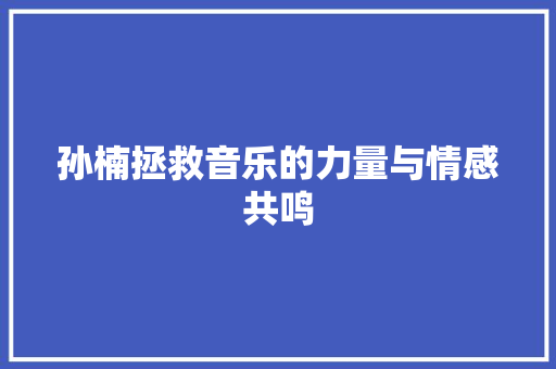 孙楠拯救音乐的力量与情感共鸣