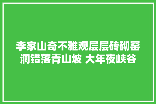 李家山奇不雅观层层砖砌窑洞错落青山坡 大年夜峡谷妙景叠叠水蚀浮雕峭立黄河岸