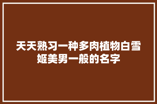 天天熟习一种多肉植物白雪姬美男一般的名字