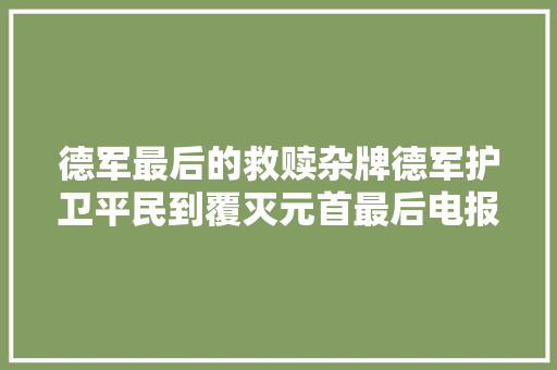 德军最后的救赎杂牌德军护卫平民到覆灭元首最后电报它在哪