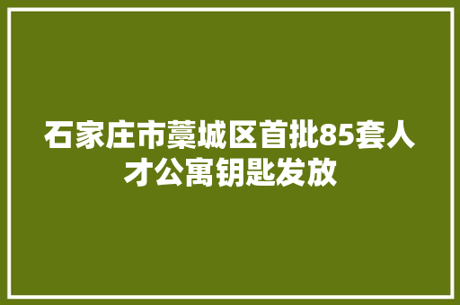 石家庄市藁城区首批85套人才公寓钥匙发放