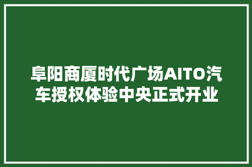 阜阳商厦时代广场AITO汽车授权体验中央正式开业