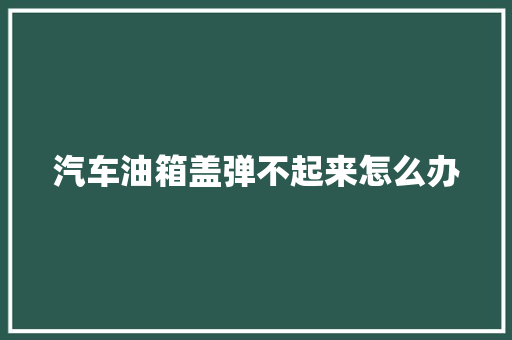 汽车油箱盖弹不起来怎么办