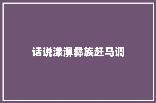 话说漾濞彝族赶马调