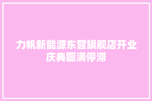 力帆新能源东营旗舰店开业庆典圆满停滞