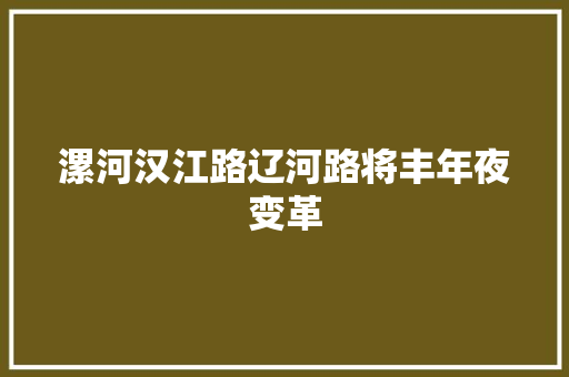 漯河汉江路辽河路将丰年夜变革