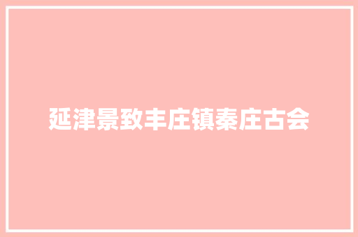 延津景致丰庄镇秦庄古会