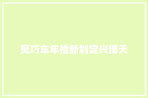 灵巧车年检新划定兴博天