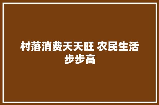 村落消费天天旺 农民生活步步高