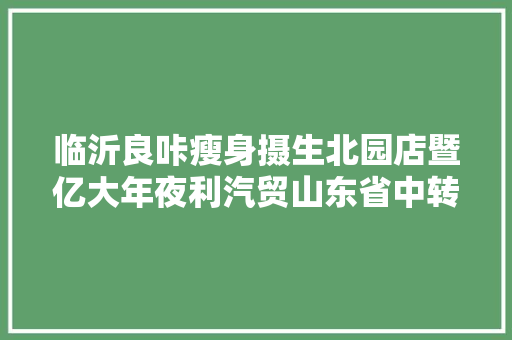 临沂良咔瘦身摄生北园店暨亿大年夜利汽贸山东省中转库启动开业