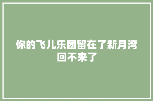 你的飞儿乐团留在了新月湾回不来了
