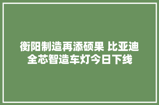 衡阳制造再添硕果 比亚迪全芯智造车灯今日下线