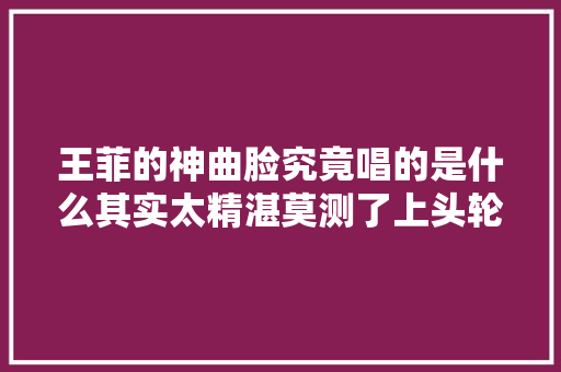 王菲的神曲脸究竟唱的是什么其实太精湛莫测了上头轮回