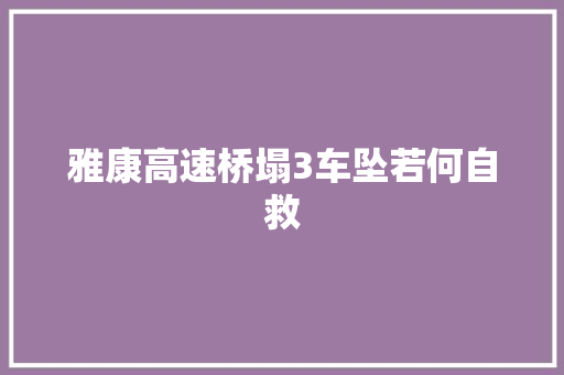 雅康高速桥塌3车坠若何自救