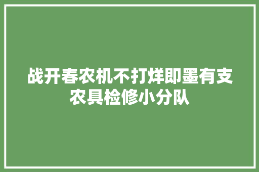 战开春农机不打烊即墨有支农具检修小分队