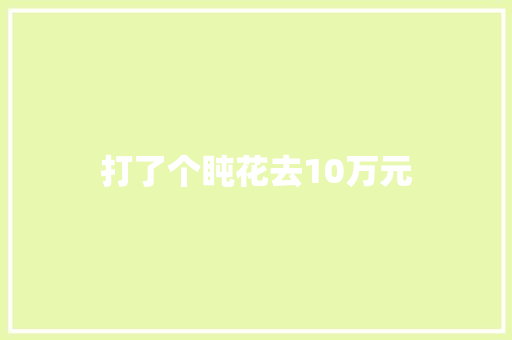 打了个盹花去10万元