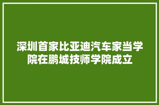 深圳首家比亚迪汽车家当学院在鹏城技师学院成立