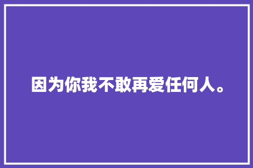 因为你我不敢再爱任何人。