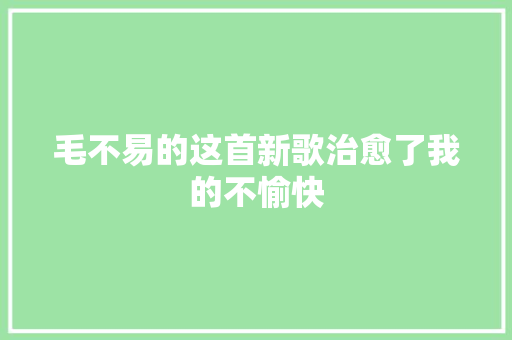 毛不易的这首新歌治愈了我的不愉快
