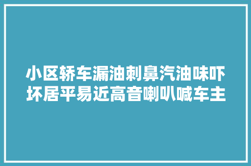小区轿车漏油刺鼻汽油味吓坏居平易近高音喇叭喊车主下楼抢险