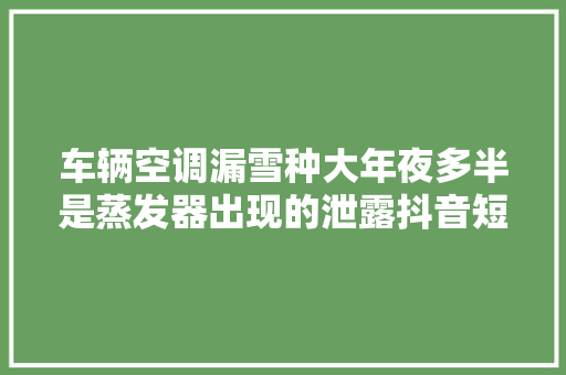 车辆空调漏雪种大年夜多半是蒸发器出现的泄露抖音短视频