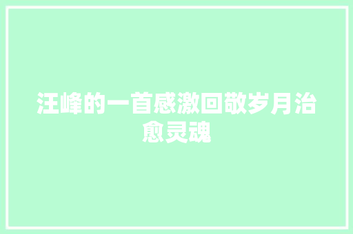 汪峰的一首感激回敬岁月治愈灵魂 休闲娱乐