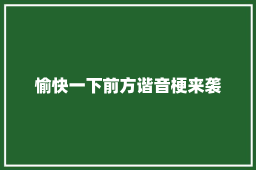 愉快一下前方谐音梗来袭