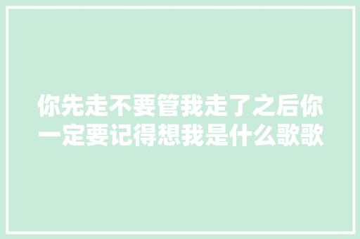 你先走不要管我走了之后你一定要记得想我是什么歌歌词介绍