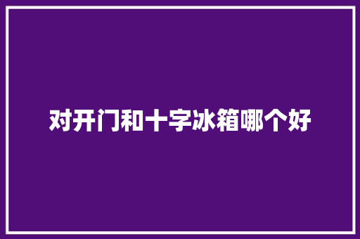 对开门和十字冰箱哪个好