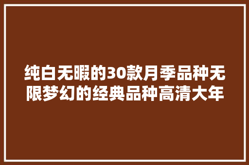 纯白无暇的30款月季品种无限梦幻的经典品种高清大年夜图不雅赏