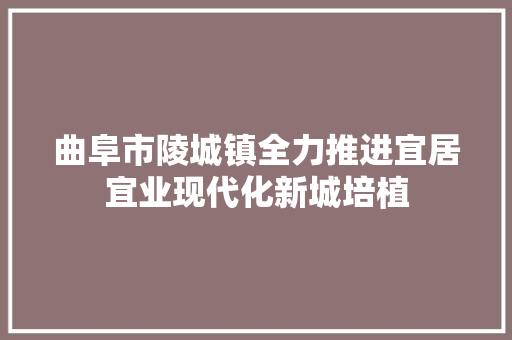 曲阜市陵城镇全力推进宜居宜业现代化新城培植