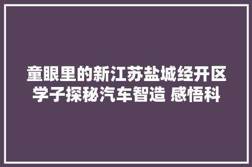 童眼里的新江苏盐城经开区学子探秘汽车智造 感悟科技魅力