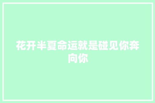 花开半夏命运就是碰见你奔向你
