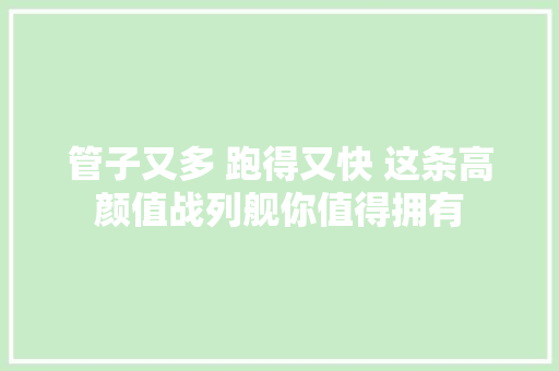 管子又多 跑得又快 这条高颜值战列舰你值得拥有
