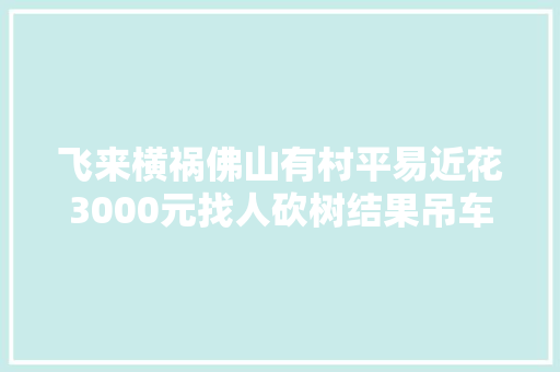 飞来横祸佛山有村平易近花3000元找人砍树结果吊车臂连砸5屋