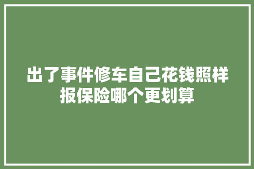 出了事件修车自己花钱照样报保险哪个更划算