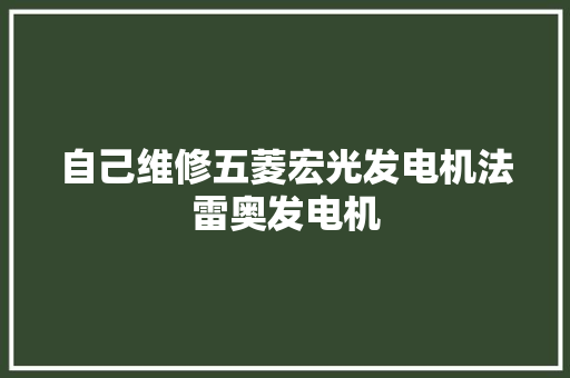 自己维修五菱宏光发电机法雷奥发电机