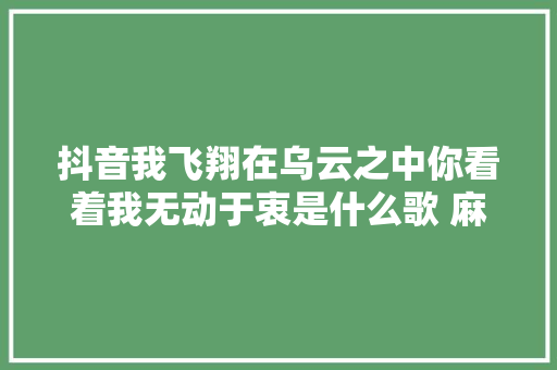 抖音我飞翔在乌云之中你看着我无动于衷是什么歌 麻雀歌词