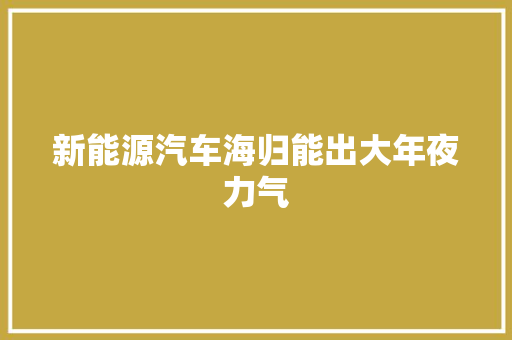 新能源汽车海归能出大年夜力气