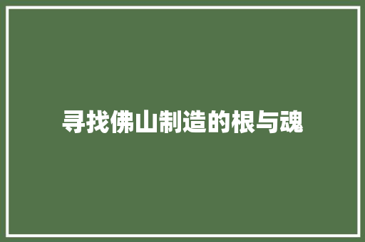 寻找佛山制造的根与魂