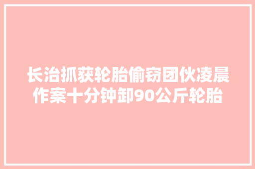 长治抓获轮胎偷窃团伙凌晨作案十分钟卸90公斤轮胎