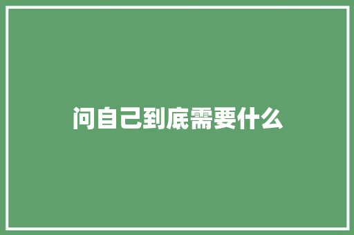 问自己到底需要什么