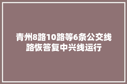 青州8路10路等6条公交线路恢答复中兴线运行
