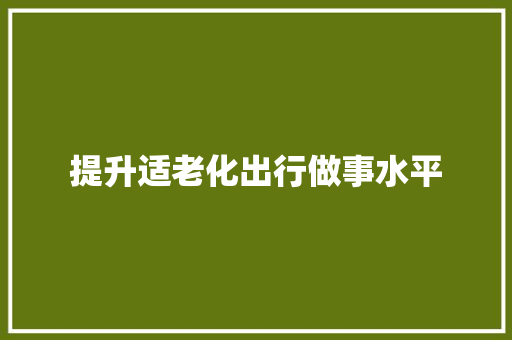 提升适老化出行做事水平