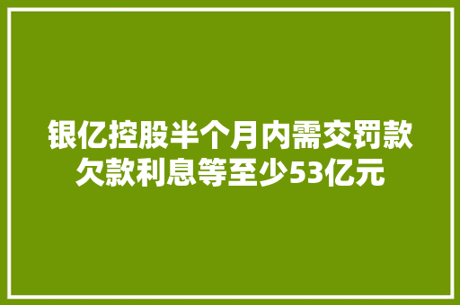 银亿控股半个月内需交罚款欠款利息等至少53亿元