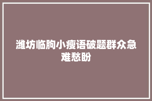 潍坊临朐小瘦语破题群众急难愁盼